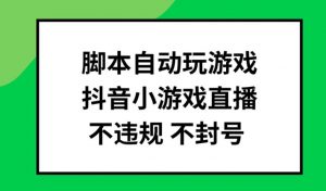 脚本自动玩游戏，抖音小游戏直播，不违规不封号可批量做【揭秘】-大东资源库