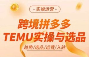 跨境拼多多TEMU实操与选品，多多temu跨境选品运营实操-大东资源库