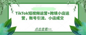 TikTok短视频运营+跨境小店运营，账号引流、小店成交-大东资源库