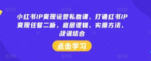 小红书IP变现运营私教课，打通红书IP变现任督二脉，底层逻辑、实操方法、战训结合-大东资源库