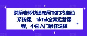 跨境老板快速布局TK的冷启动系统课，TikTok全案运营课程，小白入门最佳选择-大东资源库