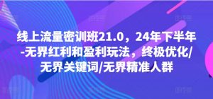 线上流量密训班21.0，24年下半年-无界红利和盈利玩法，终极优化/无界关键词/无界精准人群-大东资源库