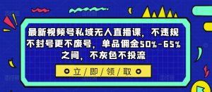最新视频号私域无人直播课，不违规不封号更不废号，单品佣金50%-65%之间，不灰色不投流-大东资源库