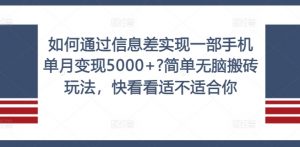如何通过信息差实现一部手机单月变现5000+?简单无脑搬砖玩法，快看看适不适合你【揭秘】-大东资源库