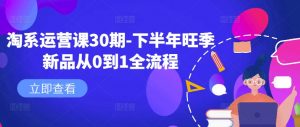 淘系运营课30期-下半年旺季新品从0到1全流程-大东资源库