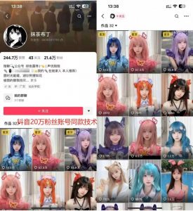 云天二次元美女起号教学，月涨10万粉丝，不判搬运-大东资源库