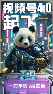 梅花实验窒微信视频号连怼玩法技巧起飞4.0一键AB破解版【揭秘】-大东资源库