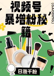 视频号涨粉方法，暴力起号，一天涨粉1000+，当天开橱窗【揭秘】-大东资源库
