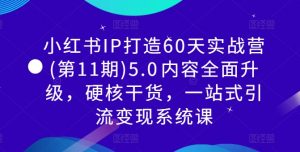 小红书IP打造60天实战营(第11期)5.0​内容全面升级，硬核干货，一站式引流变现系统课-大东资源库