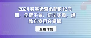 2024多多运营必听的12节课，全程干货，玩法实操，爆款方案尽在掌握-大东资源库