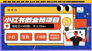 小红书创业粉项目日+500粉，每天20分钟躺赚长尾收益，无脑操作，宝妈，小白抓紧冲【揭秘】-大东资源库