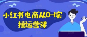 小红书电商从0-1实操运营课，小红书手机实操小红书/IP和私域课/小红书电商电脑实操板块等-大东资源库