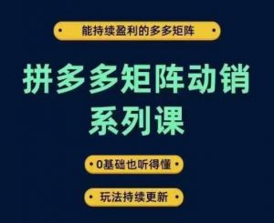 拼多多矩阵动销系列课，能持续盈利的多多矩阵，0基础也听得懂，玩法持续更新-大东资源库