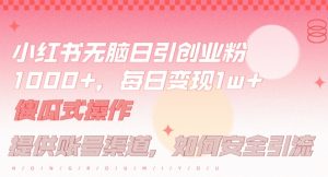 小红书无脑每日引流创业粉500+，小白每天只花半小时，躺赚长尾收益【揭秘】-大东资源库