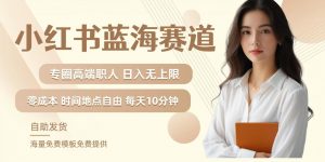 小红书蓝海赛道，圈中高端职场人，月入无上限，可矩阵，内含私域实操教程!-大东资源库