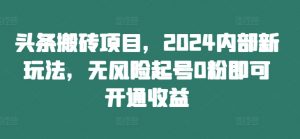 头条搬砖项目，2024内部新玩法，无风险起号0粉即可开通收益-大东资源库