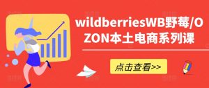 wildberriesWB野莓/OZON本土电商系列课，掌握WB产品优化，出单技巧和订单处理等-大东资源库