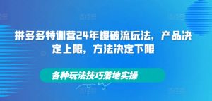 拼多多特训营24年爆破流玩法，产品决定上限，方法决定下限，各种玩法技巧落地实操-大东资源库