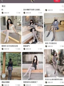 AI打造网红账号，一周收入超5位数，还能矩阵操做-大东资源库