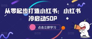 从零起步打造小红书：小红书冷启动SOP-大东资源库