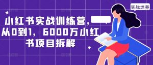 小红书实战训练营，从0到1，6000万小红书项目拆解-大东资源库