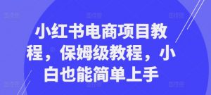 小红书电商项目教程，保姆级教程，小白也能简单上手-大东资源库