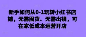 新手如何从0-1玩转小红书店铺，无需囤货、无需出镜，可在家低成本运营开店-大东资源库