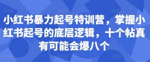 小红书暴力起号特训营，掌握小红书起号的底层逻辑，十个帖真有可能会爆八个-大东资源库