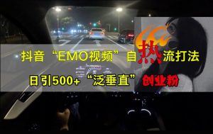 抖音EMO视频自热打法，日引500+“泛垂直”创业粉-大东资源库