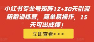 小红书专业号矩阵12+30天引流陪跑训练营，简单易操作，15天可出成绩!-大东资源库