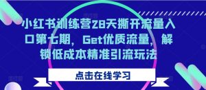 小红书训练营28天撕开流量入口第七期,Get优质流量,解锁低成本精准引流玩法-大东资源库