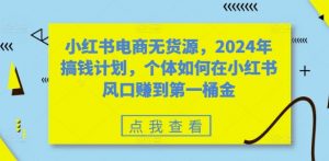 小红书电商无货源，2024年搞钱计划，个体如何在小红书风口赚到第一桶金-大东资源库