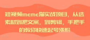 短视频meme猫实战项目，从选素材到把文案，到剪辑，手把手的教你快速起号涨粉-大东资源库