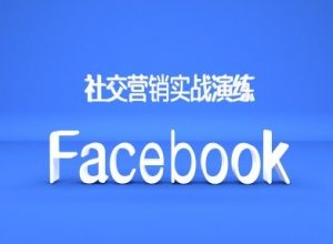 Facebook社交营销实战演练，外贸人绝对不能错过的营销推广平台-大东资源库