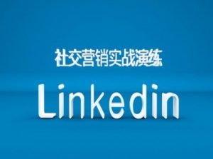 社交营销实战演练之Linkedin营销课程，B2B跨境外贸的新出路-大东资源库