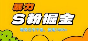 单人单机日引千粉，变现1k+，S粉流量掘金计划攻略【揭秘】-大东资源库