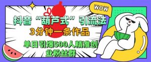 抖音葫芦式引流法，三分钟一条作品，单日引爆抖音500人精准创业粉丝群【揭秘】-大东资源库