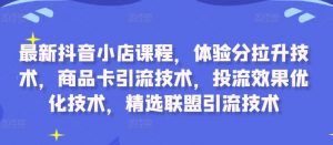 最新抖音小店课程，体验分拉升技术，商品卡引流技术，投流效果优化技术，精选联盟引流技术-大东资源库