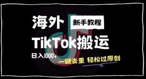 2024最新海外TikTok搬运玩法，一键去重轻松过原创，新手无经验也能日入1k【揭秘】-大东资源库