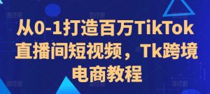 从0-1打造百万TikTok直播间短视频，Tk跨境电商教程-大东资源库