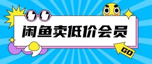 外面收费998的闲鱼低价充值会员搬砖玩法号称日入200+-大东资源库