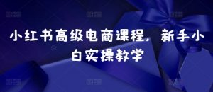 小红书高级电商课程，新手小白实操教学-大东资源库
