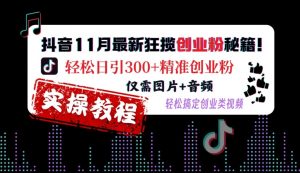 抖音11月最新狂揽创业粉秘籍，轻松日引300+精准创业粉，仅需图片+音频，轻松搞定创业类视频-大东资源库