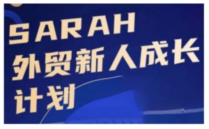 外贸新人成长计划，外贸新人学起来，偷偷让自己变强大-大东资源库