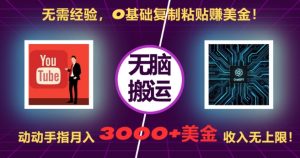 无需经验，0基础复制粘贴赚美刀，动动手指，月入3000+刀，无上限【揭秘】-大东资源库