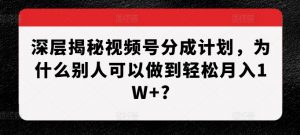深层揭秘视频号分成计划，为什么别人可以做到轻松月入1W+?-大东资源库