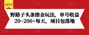 野路子头条撸金玩法，单号收益20~200+每天，项目包落地-大东资源库