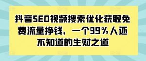 抖音SEO视频搜索优化获取免费流量挣钱，一个99%人还不知道的生财之道-大东资源库