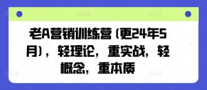 老A营销训练营(更24年11月)，轻理论，重实战，轻概念，重本质-大东资源库