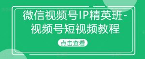微信视频号IP精英班-视频号短视频教程-大东资源库